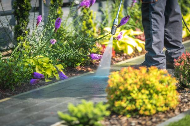 Best Animal Enclosure Cleaning  in Mount Sinai, NY