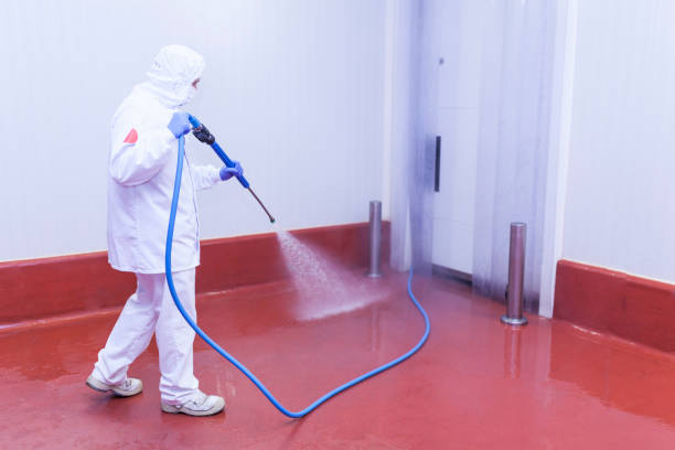 Best Concrete Sealing  in Mount Sinai, NY